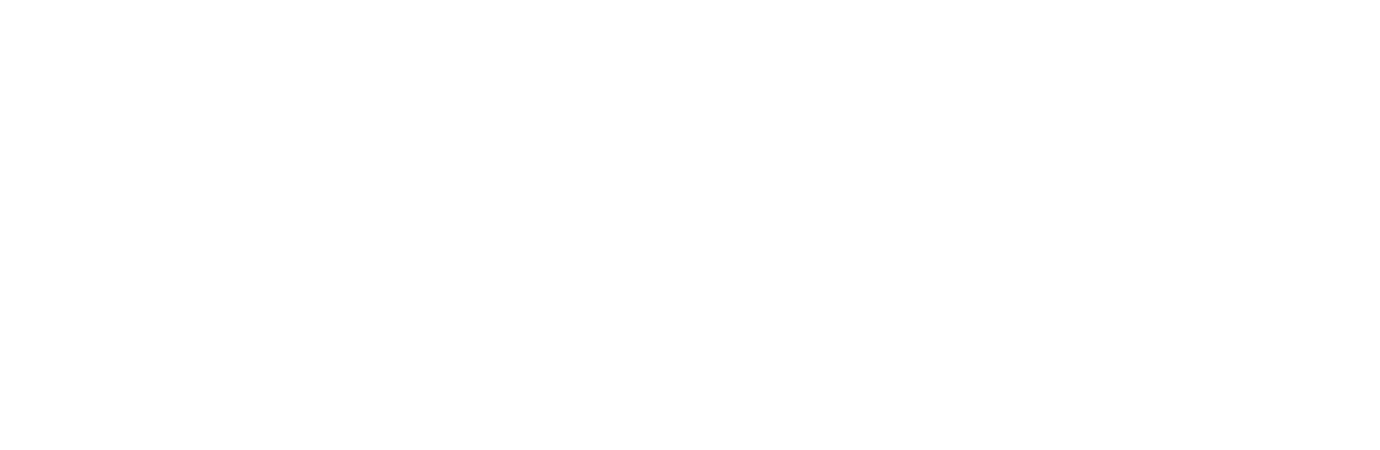 Logo also-logo-blanc
