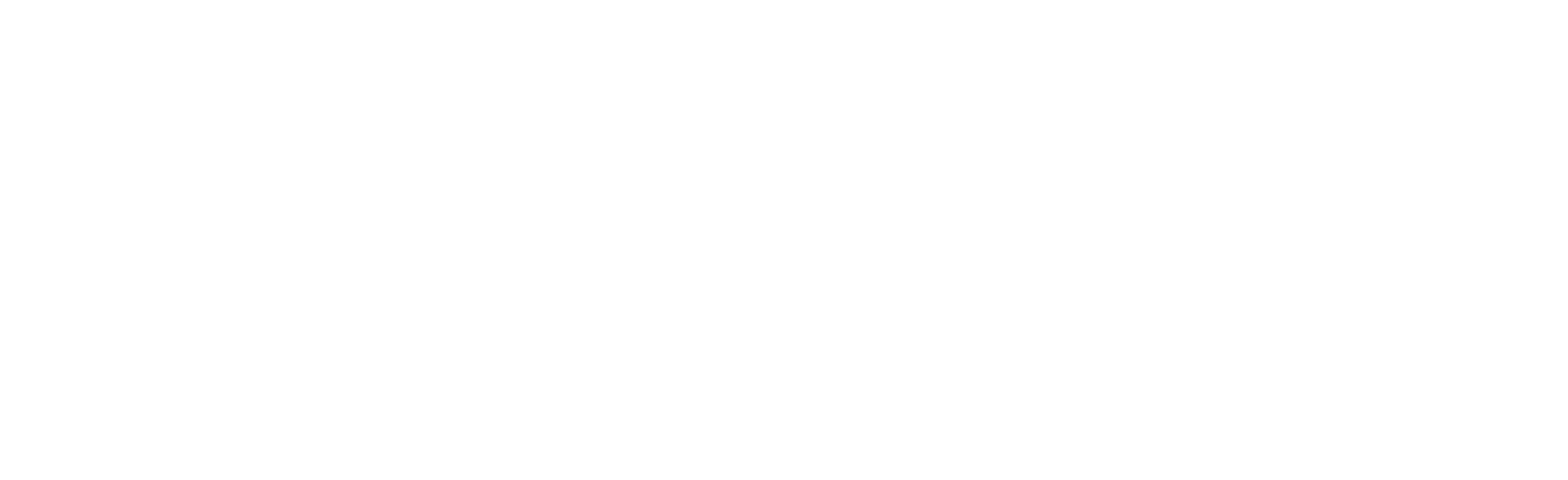 Logo Asus Business
